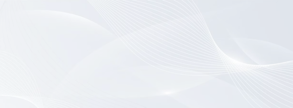 vkt250415162404